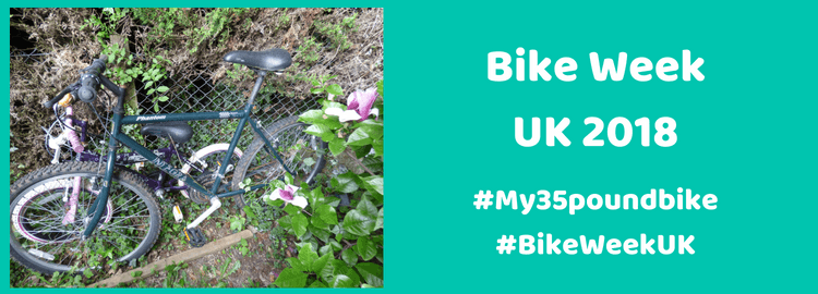 A photo of the bicycle next to a wire fence | Smarter Travel Limited